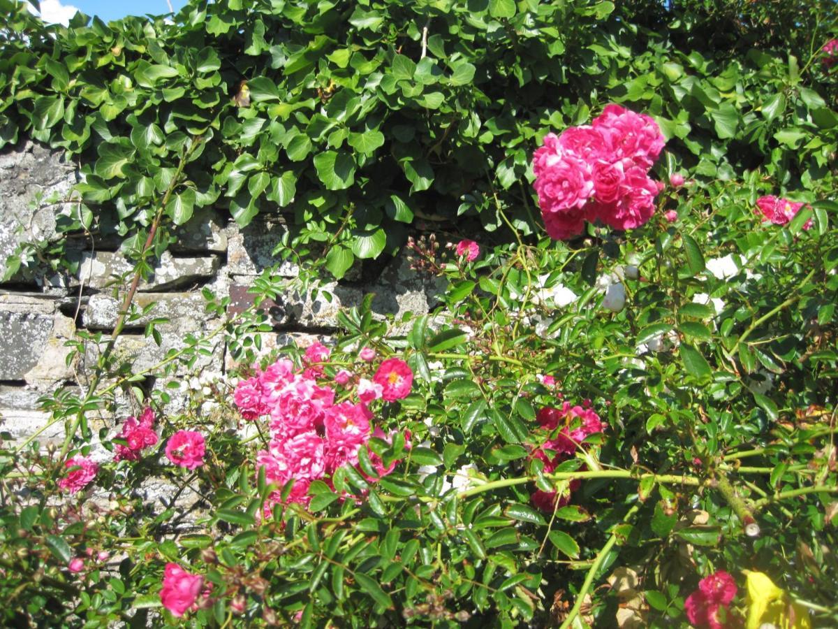 Colebrook Cottage Isle of Whithorn 외부 사진